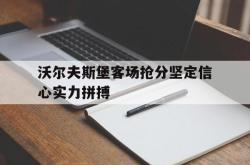 双赢体育娱乐-沃尔夫斯堡客场抢分坚定信心实力拼搏