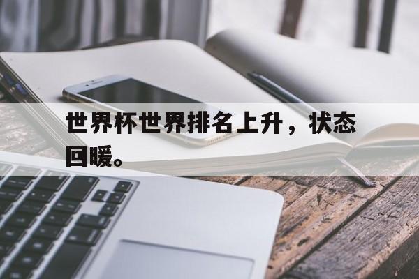 世界杯世界排名上升，状态回暖。